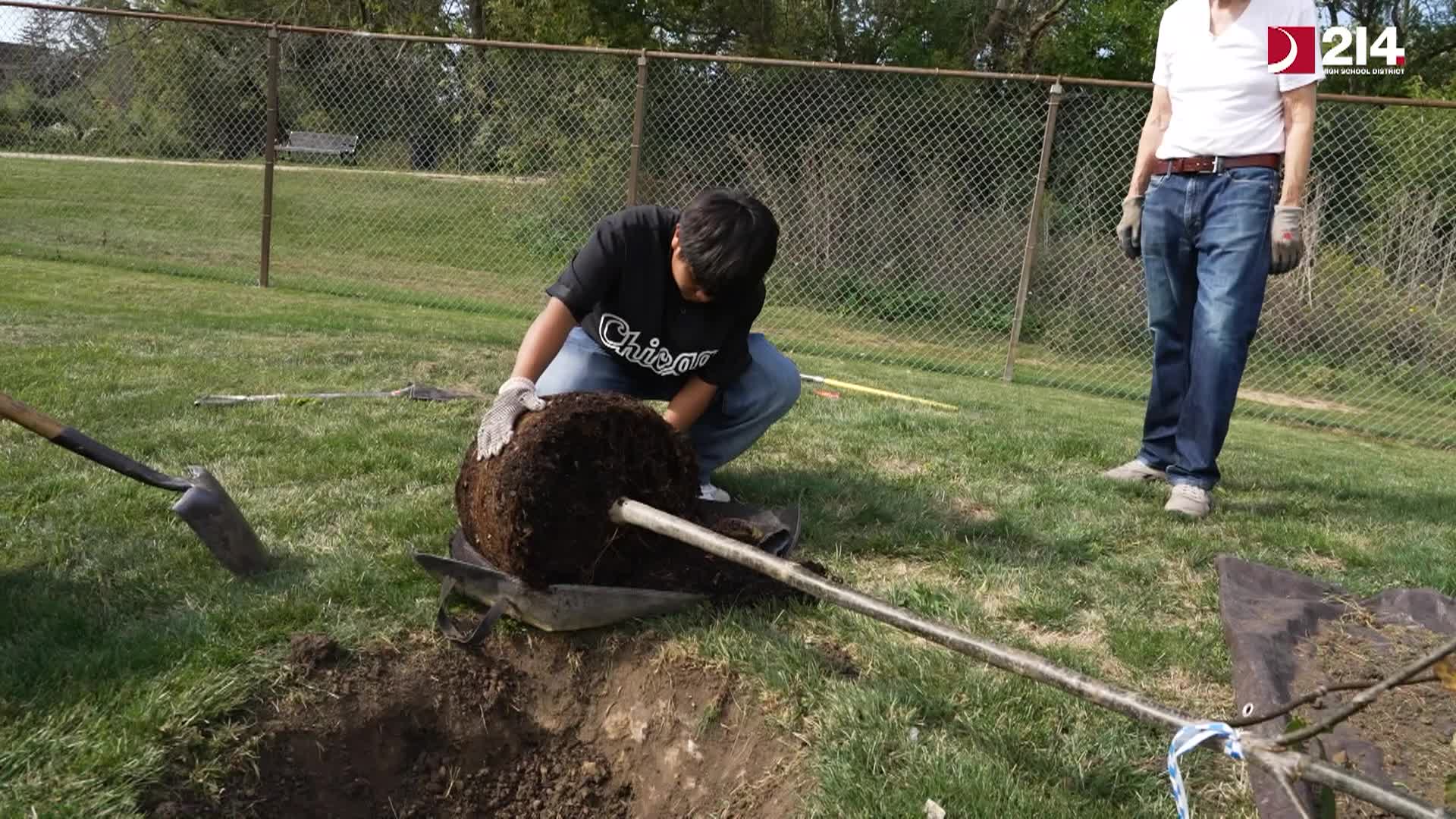 District 214 Stories - November 2025