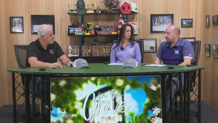 Thumbnail image for In the Grove