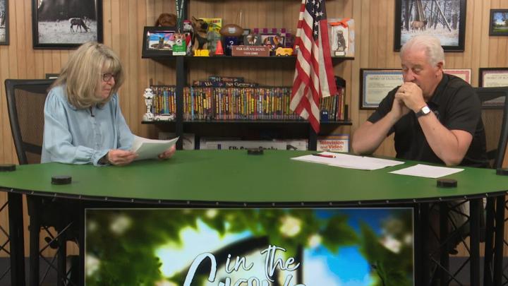 Thumbnail image for In the Grove