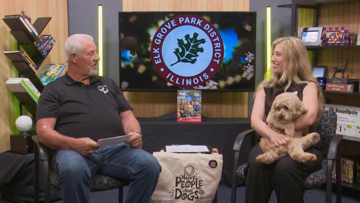 Thumbnail image for In the Grove - Bark in the Park